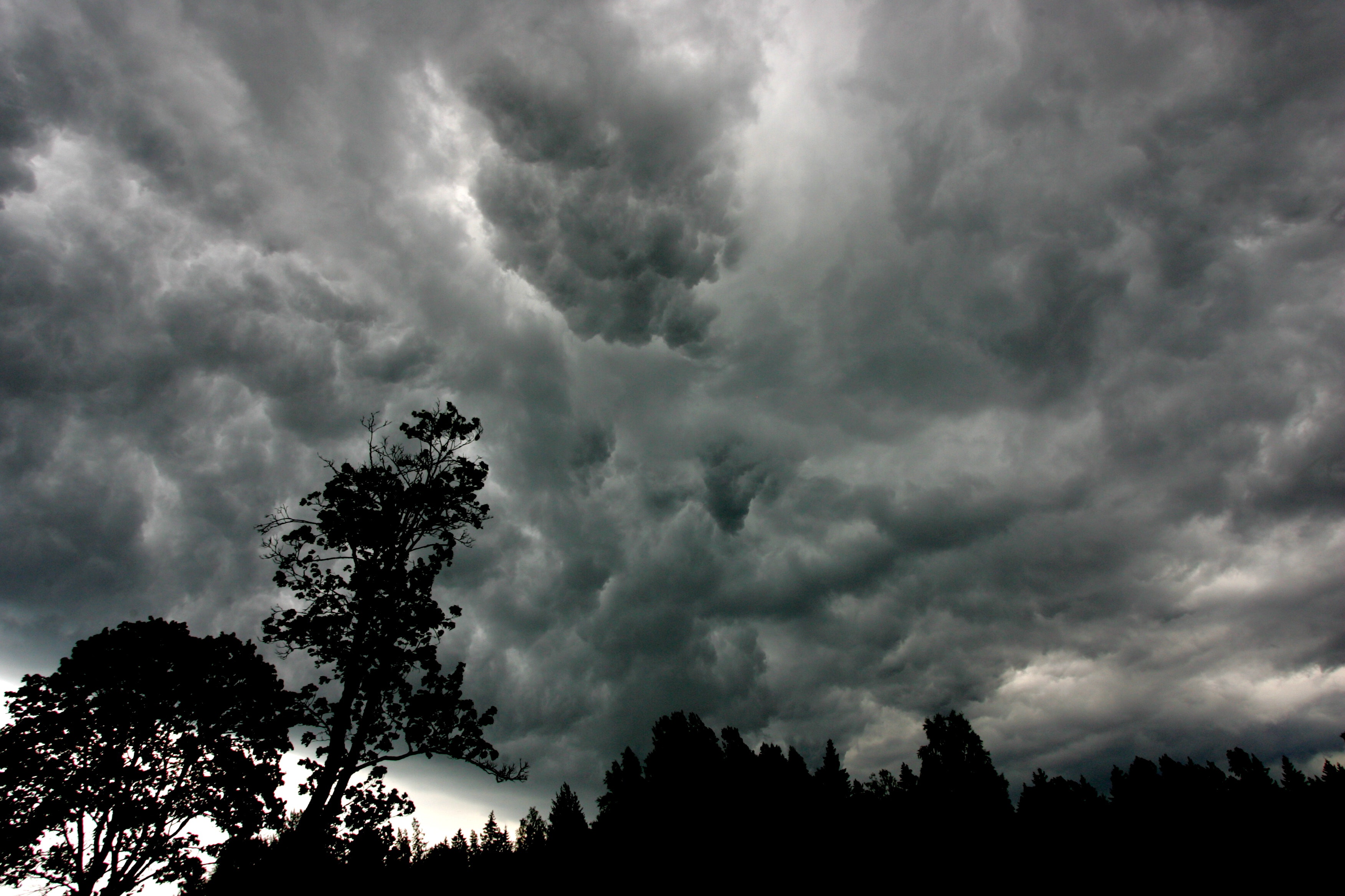 Международный день по снижению риска бедствий