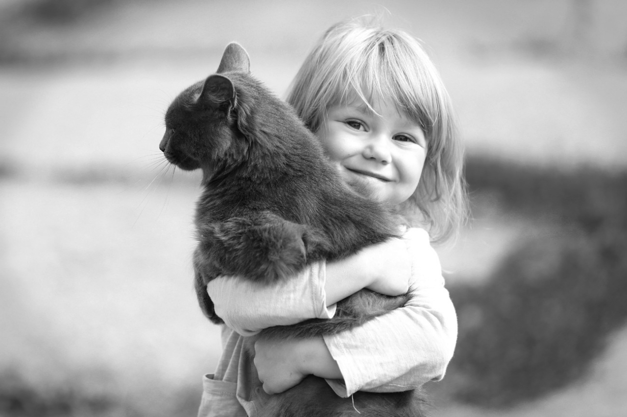 Международный день спонтанного проявления доброты