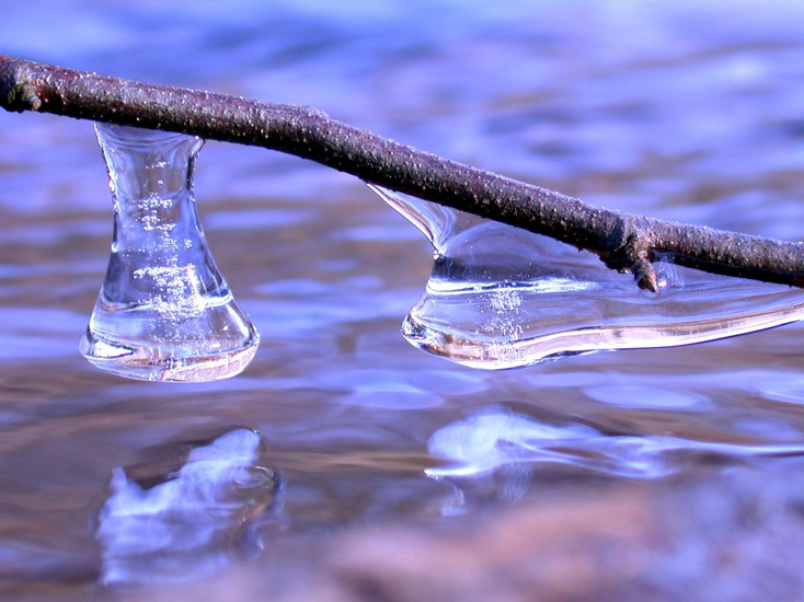 Василий-солнечник