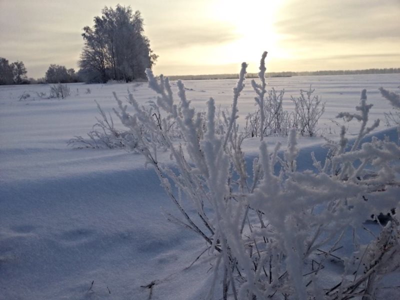 Емельяны Перезимники