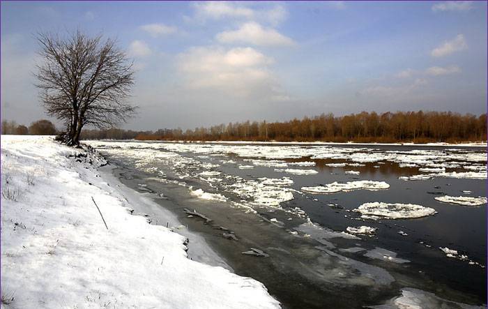 Федот Ветронос