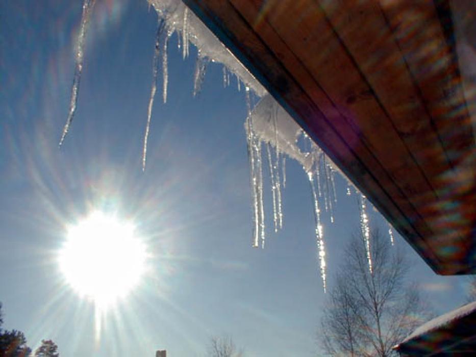 Василий Капельник