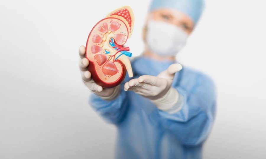 День нефролога