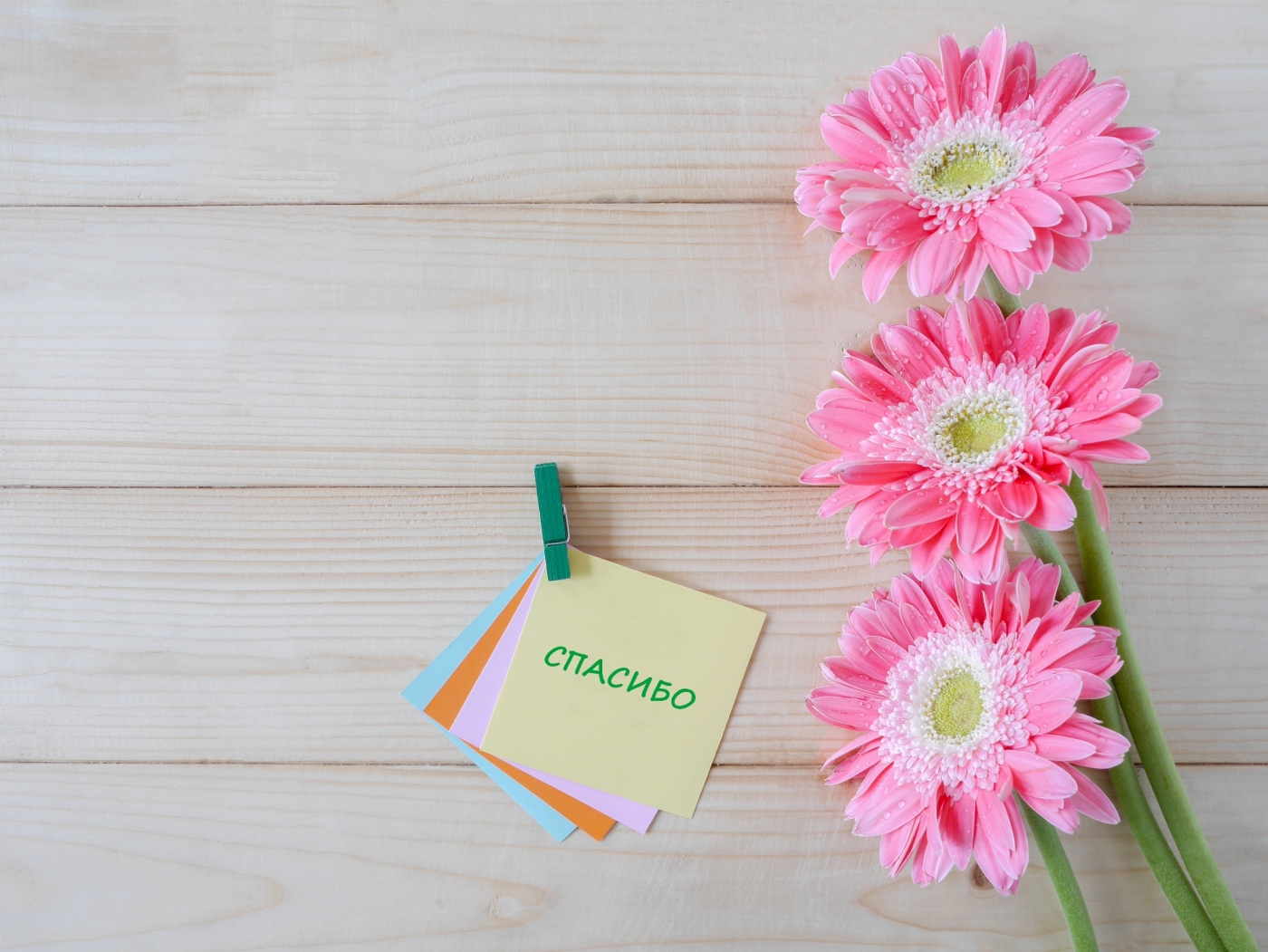 Международный день «спасибо»