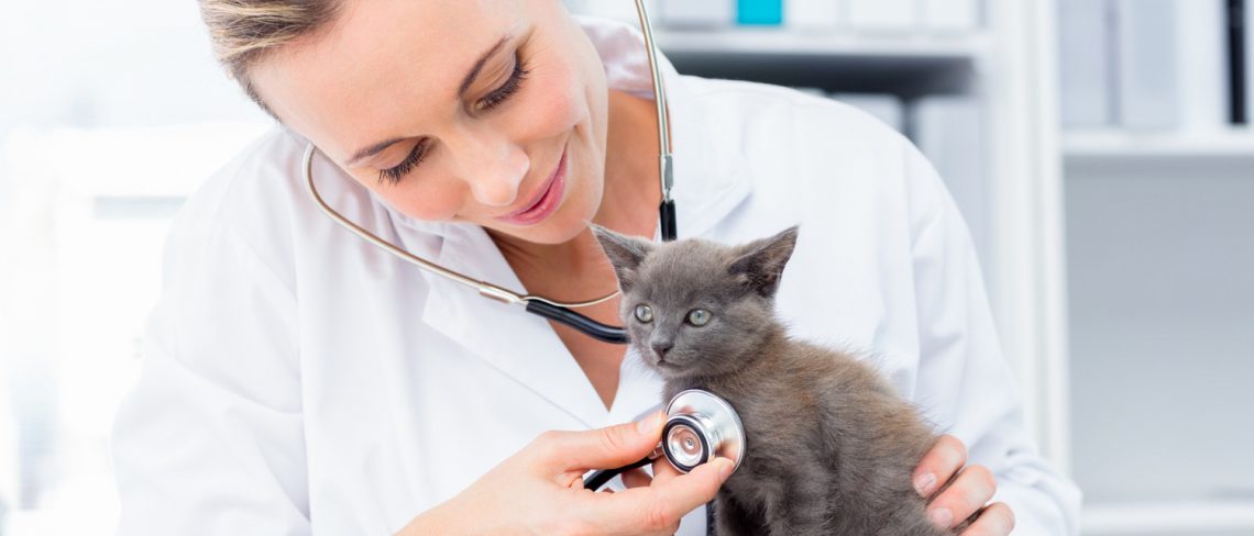 День ветеринарного работника в России