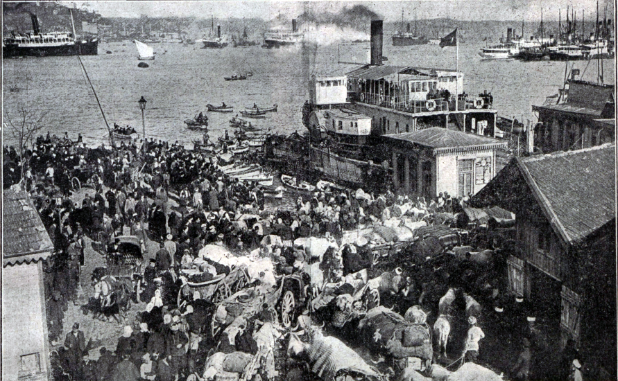 Введены «Нансеновские паспорта» для беженцев